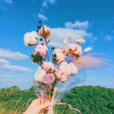 仙侠online手游下载