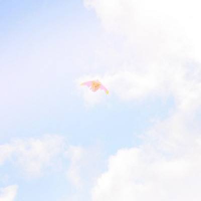 三打至尊宝正式版下载
